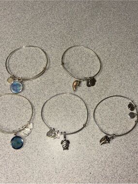 Alex and Ani Silver-Tone Charm Bangle Set with Blue Enamel Accents